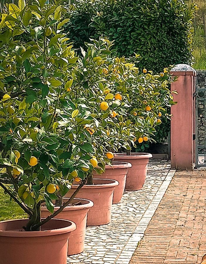 Casa Vacanze Monte Villa Pieve di Soligo Kültér fotó